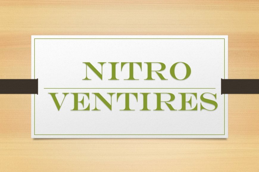 Nitro Ventures: Helping Businesses Grow and Succeed