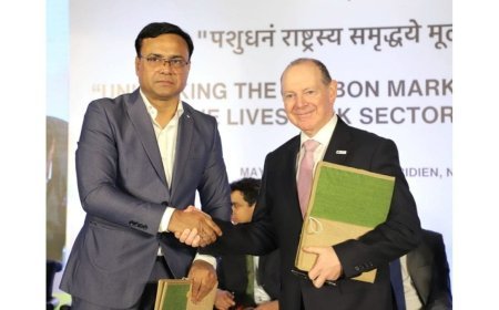 CMAI & GDP Convene to Drive Livestock Sector Reform Through Carbon Markets and Climate Finance