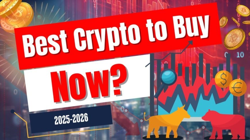 The 5 Best Crypto to Buy Now in November 2025 That Could Go 100x: Bear Market Must-Have Picks